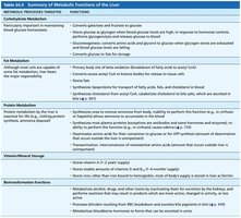 Liver metabolic functions