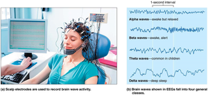 EEG recording setup and brain wave examples