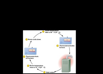 Negative feedback loop (thermostat analogy)