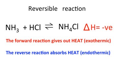 Reversible reaction example
