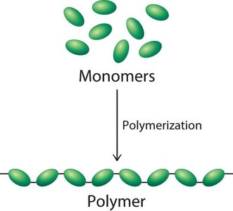 Monomers polymerizing to form a polymer