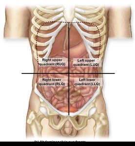 Abdominopelvic quadrants