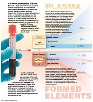 Composition of whole blood: plasma and formed elements