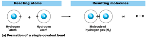 Formation of covalent bond