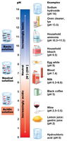 Acids, bases, and salts