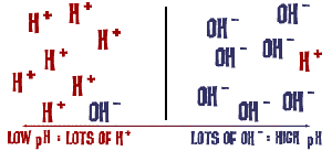 pH scale