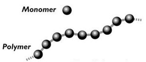 Monomer and polymer