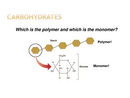Carbohydrate polymer and monomer
