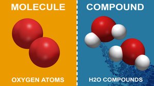 Molecule vs compound