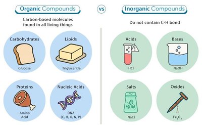 Comparison of organic and inorganic compounds