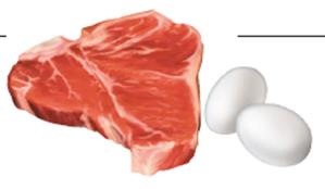 Food sources of proteins