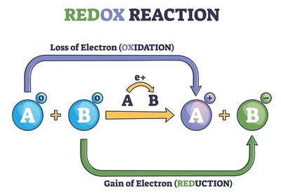 Redox reaction: loss and gain of electrons