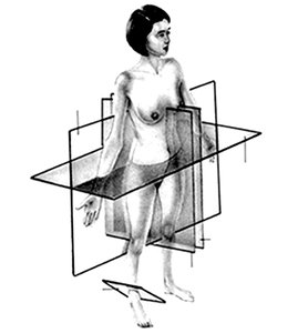Body planes illustration