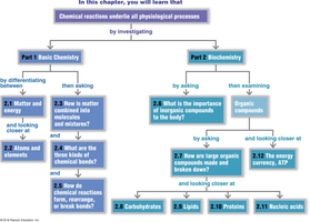 Chapter flowchart: Chemistry in Anatomy & Physiology