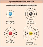 Chemically reactive elements