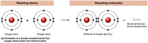 Formation of oxygen gas (O2) by double covalent bond