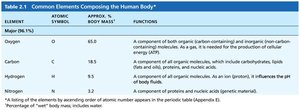 Table of major elements in the human body