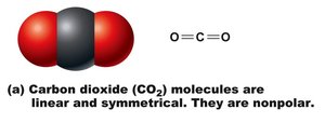 CO2 molecule: nonpolar covalent bond