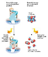 Energy form conversions