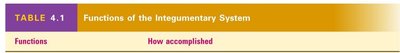 Table 4.1 Functions of the Integumentary System