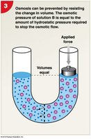 Diagram showing osmotic pressure applied to prevent osmosis