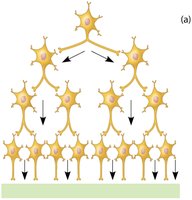 Diverging circuit