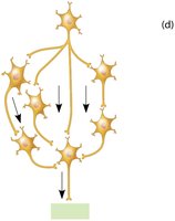 Parallel after-discharge circuit