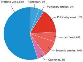 Pie chart of blood distribution in the cardiovascular system
