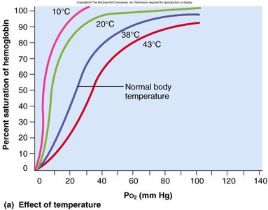 Effect of temperature on hemoglobin saturation
