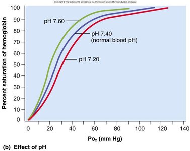 Effect of pH on hemoglobin saturation