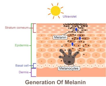 Sunburned face showing effects of excessive sun exposure