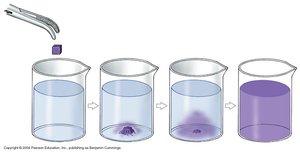 Diffusion of a solute in water