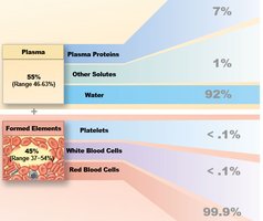 Blood composition: plasma and formed elements