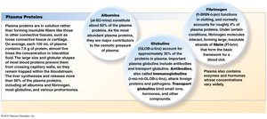 Plasma proteins: albumins, globulins, fibrinogen