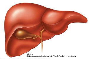 Liver, a target organ for growth hormone