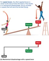 Mechanical advantage/disadvantage lever systems
