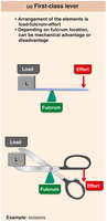 First-class lever