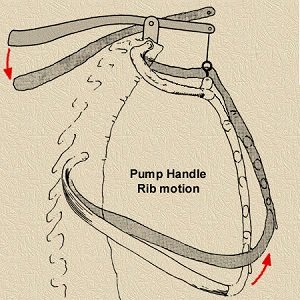 Pump handle rib motion