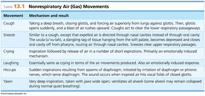 Table of nonrespiratory air movements