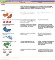 Centrosome and microtubule organization