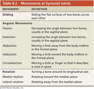 Movements at synovial joints