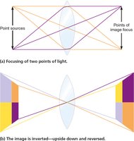 Light focused by a convex lens