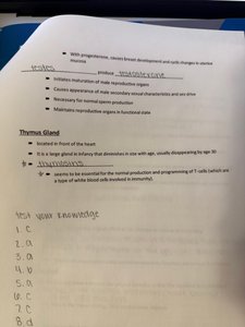 Digestive system functions notes page