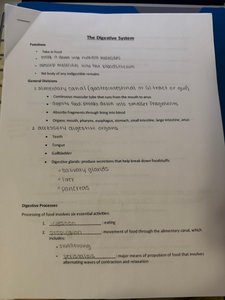 Digestive organs notes page
