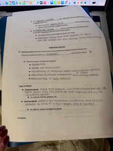 Endocrine System notes page