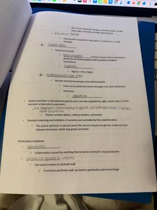 Small intestine notes page