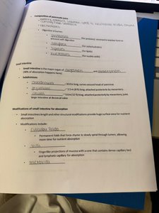 Large intestine notes page