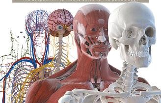 Human body systems overview