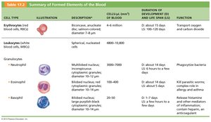 Summary table of formed elements of the blood (part 1)
