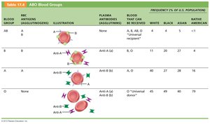 Table of ABO blood groups, antigens, antibodies, and compatibility